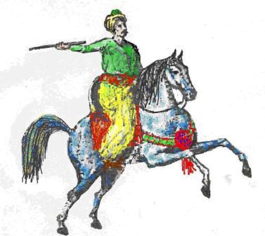 Rüyada Cirit Görmek