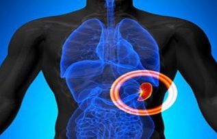 Rüyada Dalak Görmek