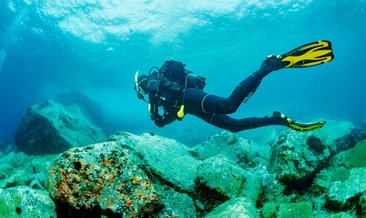 Rüyada Dalgıç Görmek