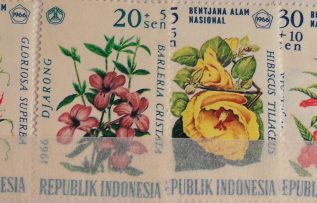 Rüyada Damga Pulu Görmek