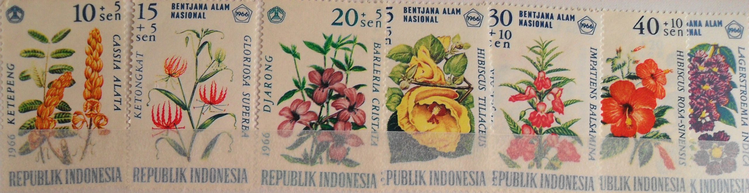 Rüyada Damga Pulu Görmek