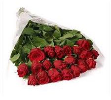 Rüyada Demet Görmek