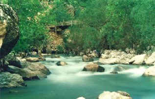 Rüyada Derede Yüzmek