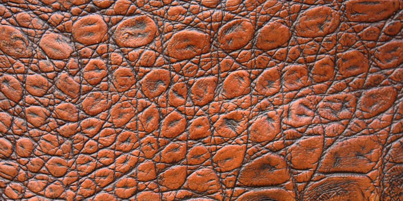 Rüyada Deri Görmek