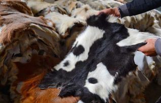 Rüyada Derisini Yüzmek