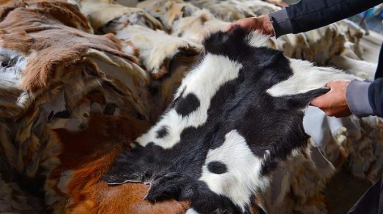 Rüyada Derisini Yüzmek