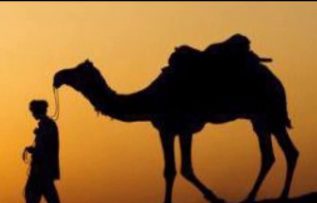 Rüyada Deveci Görmek