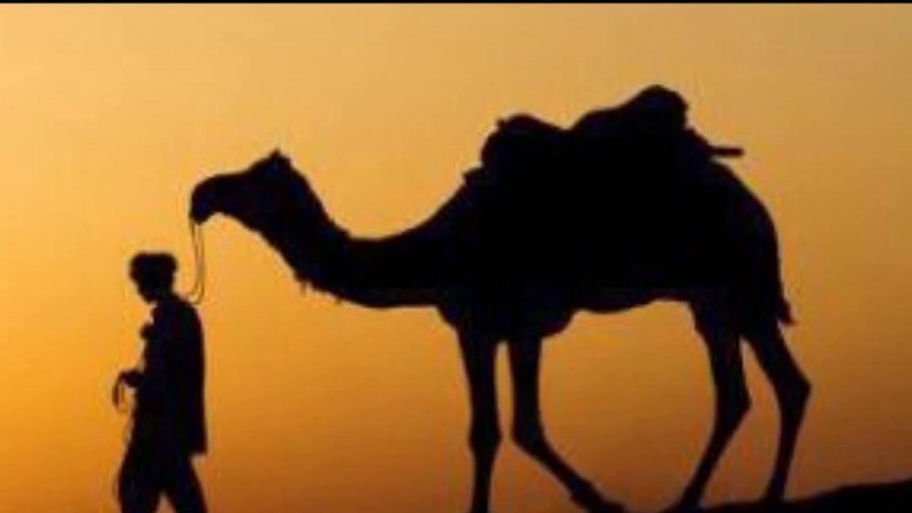 Rüyada Deveci Görmek