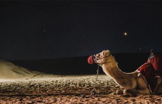 Rüyada Deveye Binmek