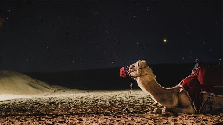 Rüyada Deveye Binmek