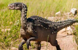 Rüyada Dinazor Görmek