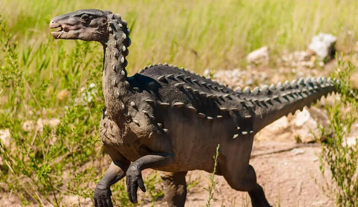 Rüyada Dinazor Görmek