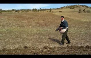 Rüyada Ekinci Görmek