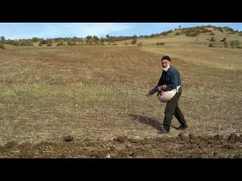 Rüyada Ekinci Görmek