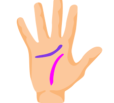 Rüyada El Falı Görmek