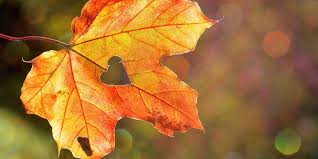 Rüyada Eski Sevgiliyle Öpüşmek