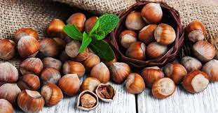 Rüyada Fındık Görmek