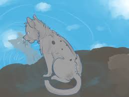 Rüyada Fağfur Görmek