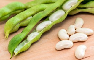 Rüyada Fasulye Tarlası Görmek