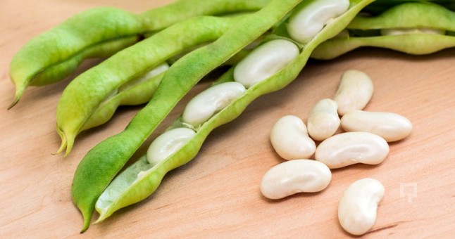 Rüyada Fasulye Tarlası Görmek