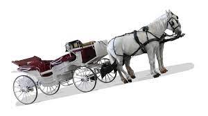 Rüyada Fayton Görmek