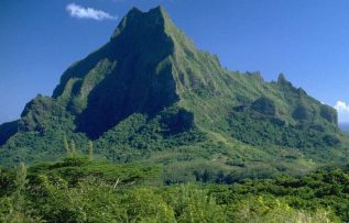 Rüyada Feraset Görmek