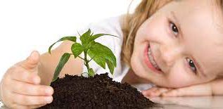 Rüyada Fidan Görmek