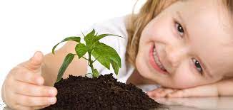 Rüyada Fidan Görmek