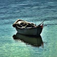 Rüyada Filika Görmek