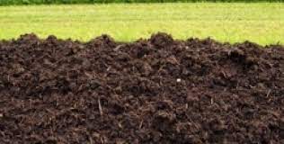 Rüyada Gübre Görmek