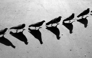 Rüyada Gölge Görmek