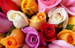 Rüyada Gonca Görmek