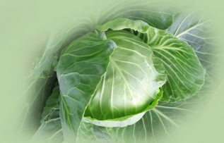 Rüyada Lahana Tohumu Görmek