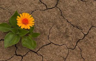 Rüyada Ümidi Kestiğini Görmek