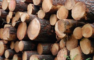 Rüyada Odun Görmek