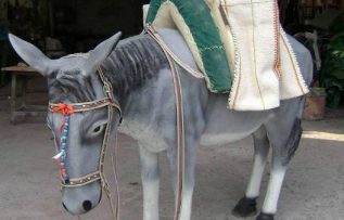 Rüyada Palan Örtüsü Görmek