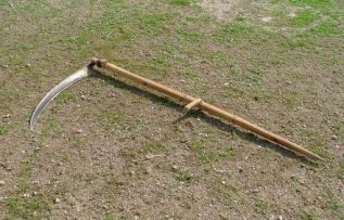 Rüyada Yaba Görmek