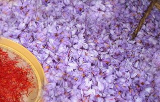 Rüyada Zaferan Görmek