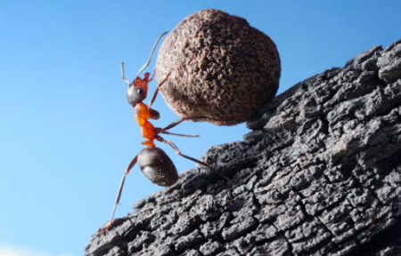 Rüyada Zahmet Görmek