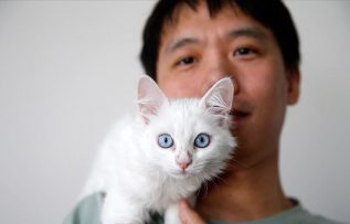 Van kedisini sahiplenmek için Çin’den Türkiye’ye geldi