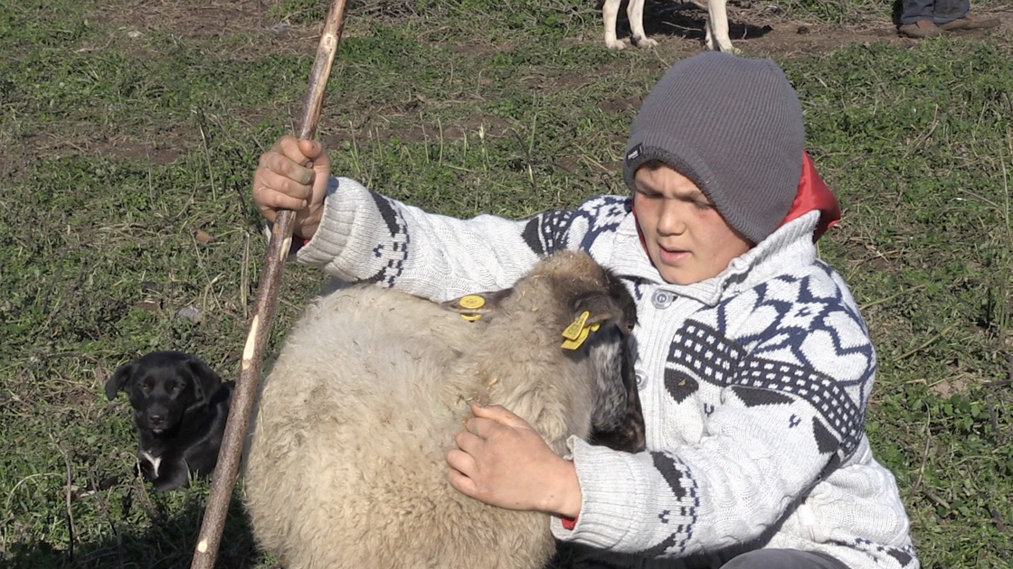 Yöresel konuşması sosyal medyada ilgi gören Havranlı Şevki, ailesine yardım etmekten memnun