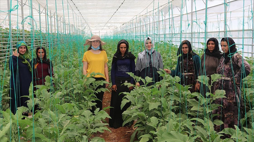 Türk ve Suriyeli kadınlar kurdukları kooperatifte birlikte üretiyor
