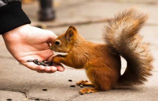 Rüyada İyilik Görmek