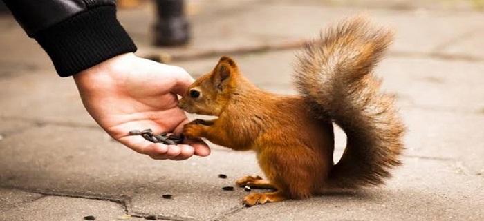 Rüyada İyilik Görmek