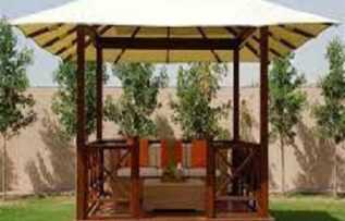 Rüyada Kamelya Görmek