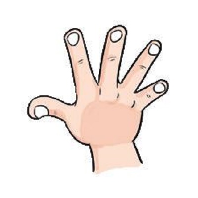 Rüyada Karışlamak