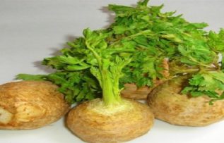 Rüyada Kereviz Görmek