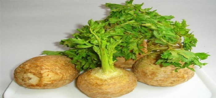 Rüyada Kereviz Görmek