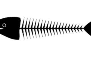 Rüyada Kılçık Görmek