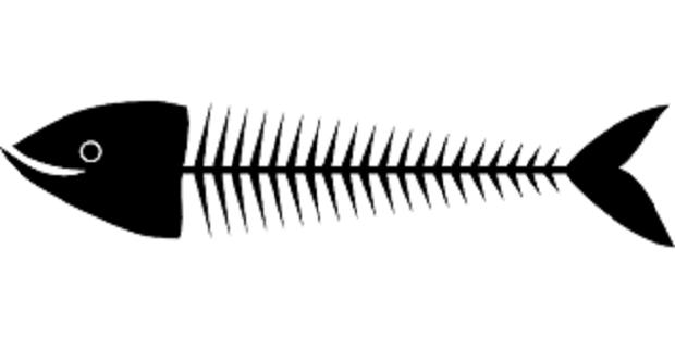 Rüyada Kılçık Görmek